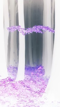 Negatyw