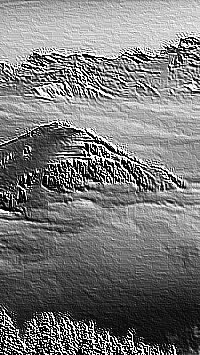 Skamielina