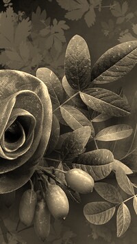 Szary + Sepia