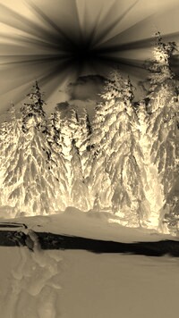Sepia + Negatyw