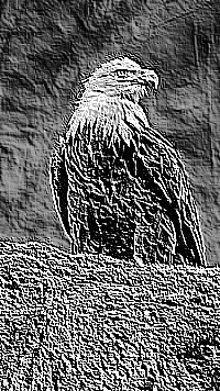 Skamielina