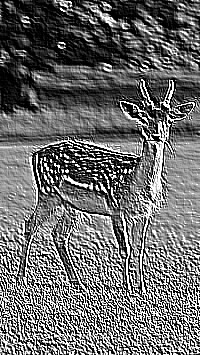 Skamielina