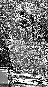 Skamielina