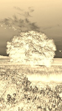 Sepia + Negatyw