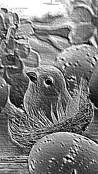Skamielina