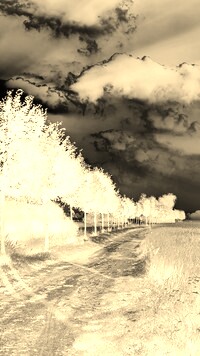 Sepia + Negatyw