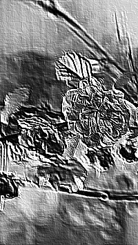 Skamielina
