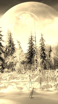 Szary + Sepia