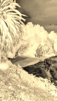 Sepia + Negatyw
