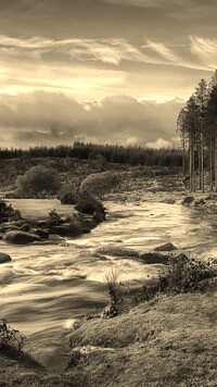 Sepia