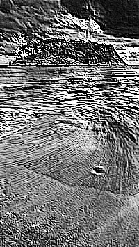 Skamielina