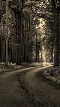 Szary + Sepia