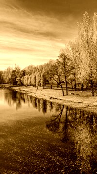 Sepia
