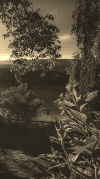 Szary + Sepia