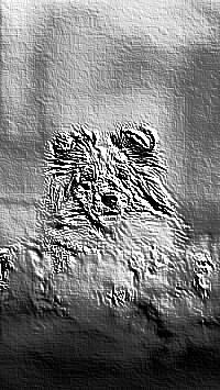 Skamielina