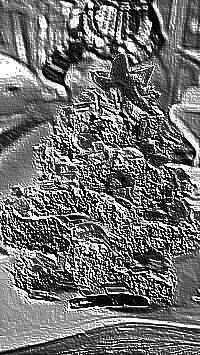 Skamielina