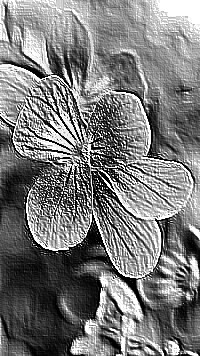 Skamielina