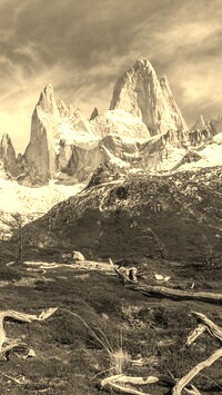 Szary + Sepia