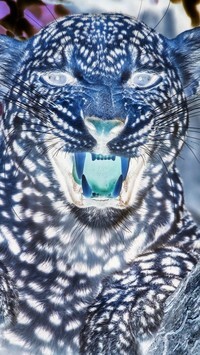 Negatyw