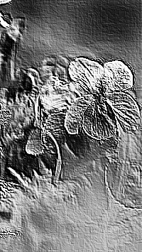 Skamielina