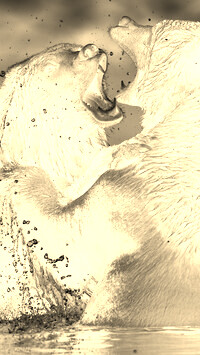 Sepia + Negatyw