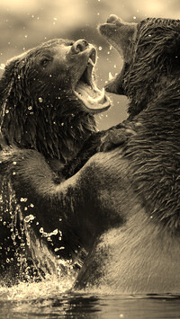Szary + Sepia