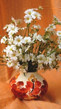 Oryginalny obrazek