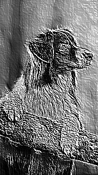Skamielina