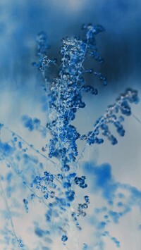 Negatyw