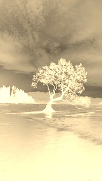 Sepia + Negatyw