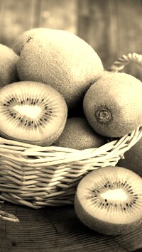 Szary + Sepia