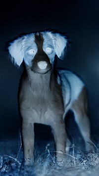 Negatyw