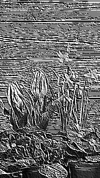 Skamielina