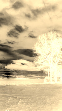 Sepia + Negatyw