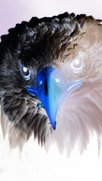 Negatyw