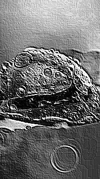Skamielina