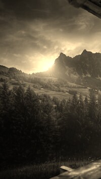 Szary + Sepia