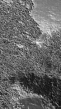 Skamielina