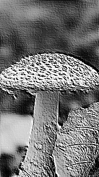 Skamielina