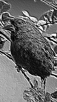 Skamielina