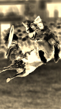 Sepia + Negatyw