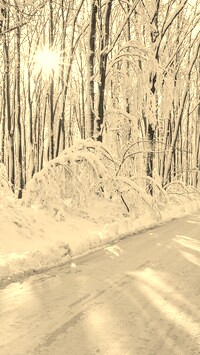 Sepia