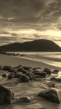 Sepia