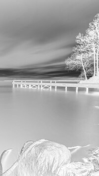 Szary + Negatyw