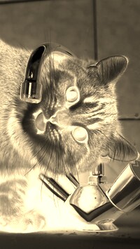 Sepia + Negatyw