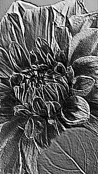 Skamielina