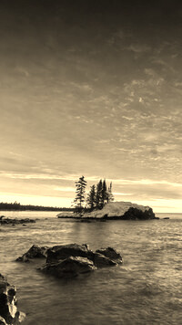 Sepia