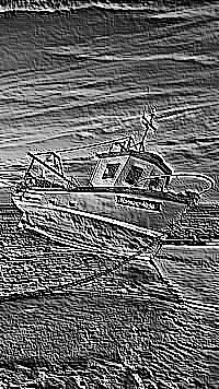 Skamielina