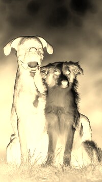 Sepia + Negatyw