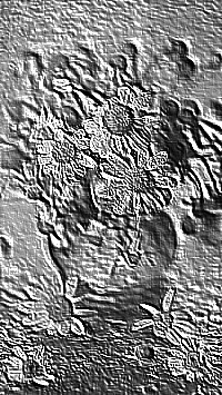 Skamielina